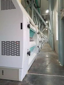 匠心制粉，诚邀共享——宿州市青松面粉厂全国经销商招募