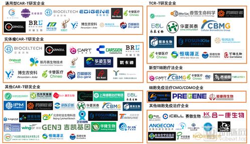 累计融资超70亿元 国内细胞免疫治疗企业全图谱与贸易代理新机遇