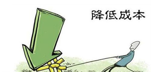 价格便宜十几万，平行进口车要不要选择国内贸易代理？